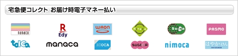  nanaco,楽天Edy,WAWON,Kitaka,Suica,PASMO,TOICA,manaca,ICOCA,SUGOCA,nimoca,はやかけん